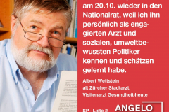 Albert Wettstein, alt Zürcher Stadtarzt, Visitenarzt Gesundheit-heute