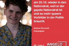 Andrea Simonett, Campagner