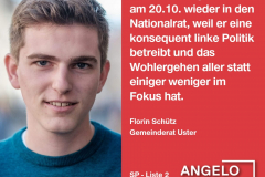 Florin Schütz, Gemeinderat Uster