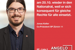 Jonas Keller, Co-Präsident SP Zürich 11