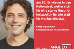 Simon Diggelmann, Gemeinderat Zürich, Raumplaner
