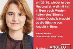 Simone Brander, Gemeinderätin Stadt Zürich